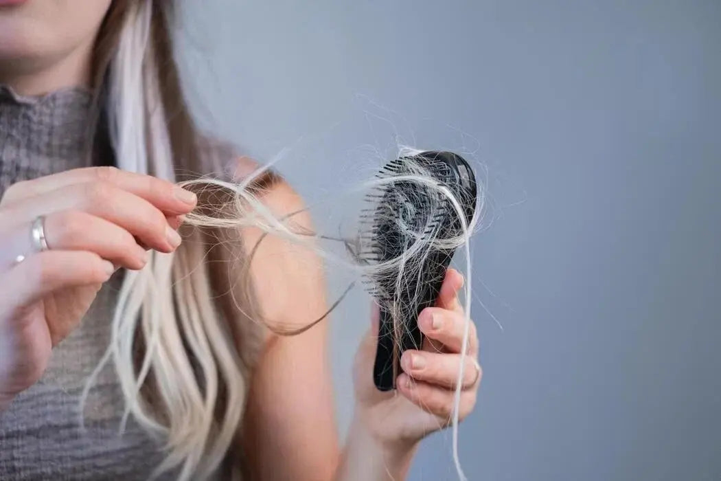Hair Fall vs Hair Breakage: What's the Difference? HELI Cosmetics
